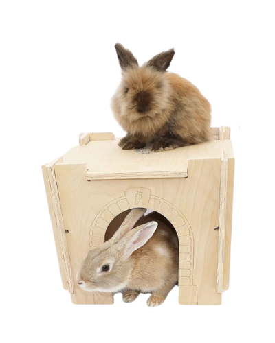 Small Pet Select Rabbit Castle
