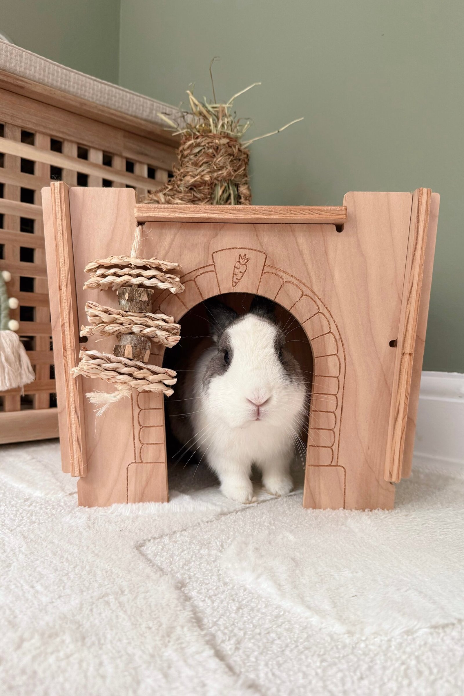 Bunny in wooden castle