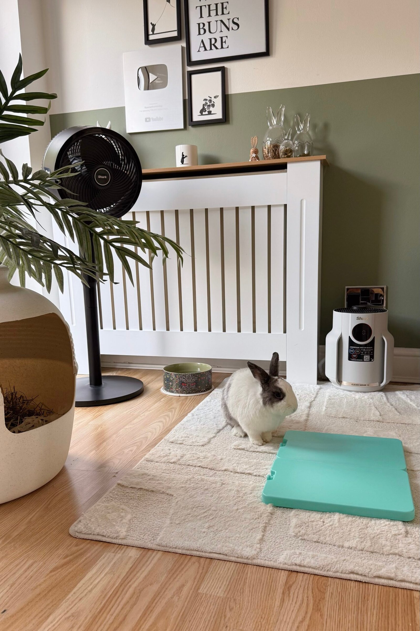 Keeping rabbits cool during summer - House rabbits with fan and cool pods