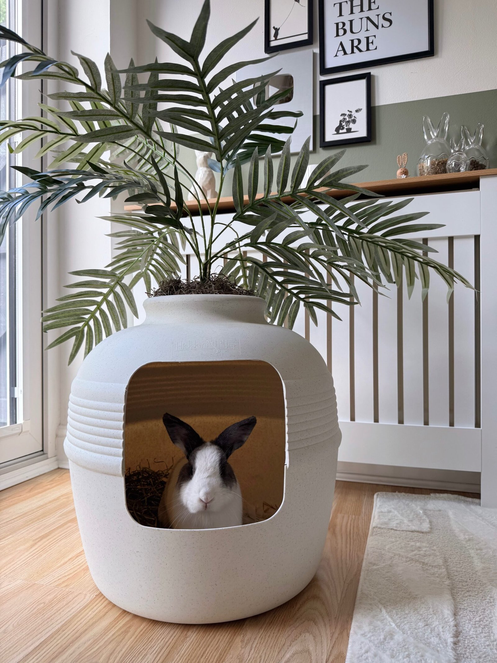 Plant Litter Box