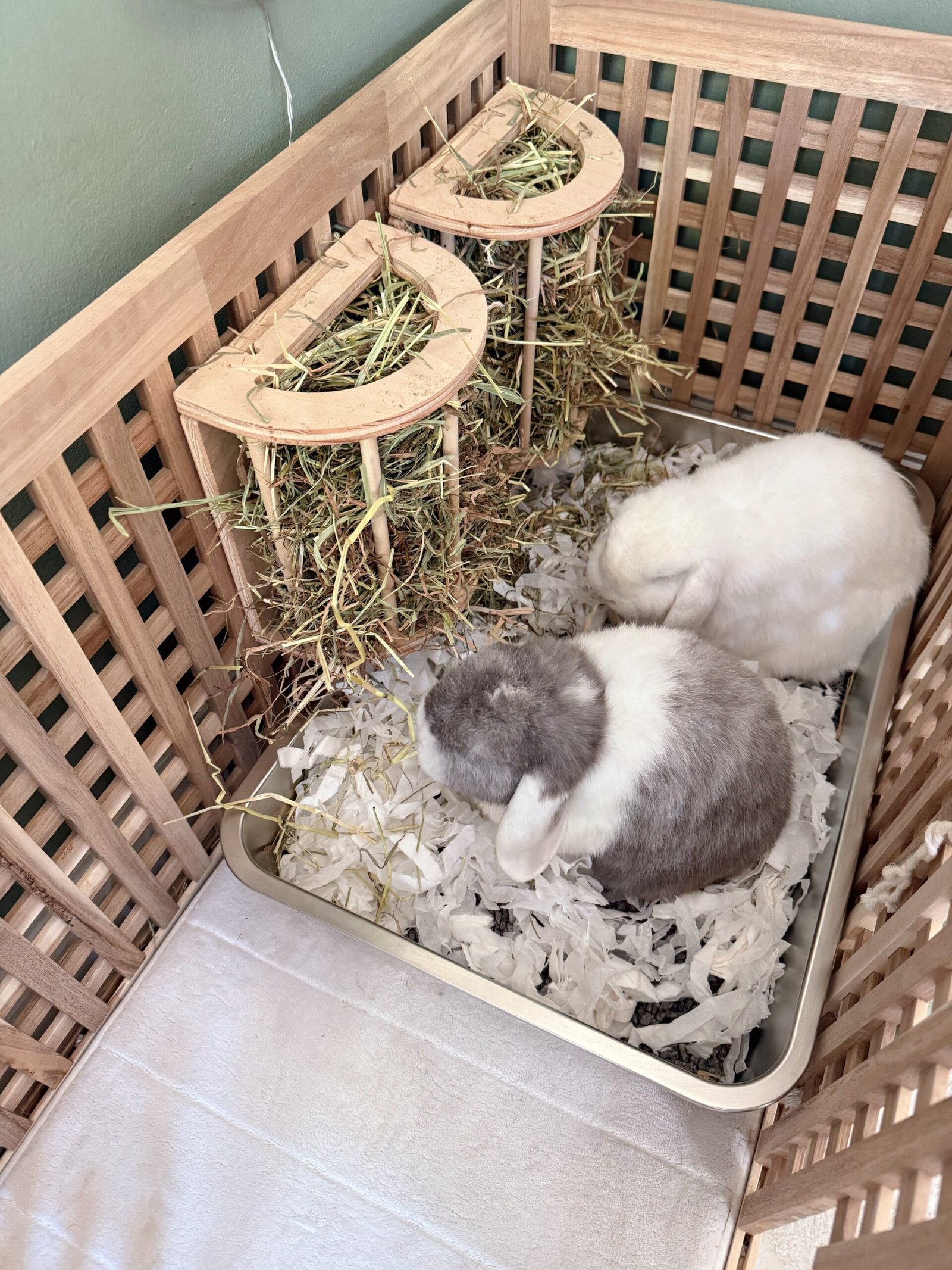 Inside IKEA HOL with rabbit litter box and hay feeders